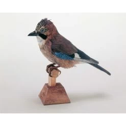 Jays Cardboard Modelkit