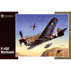 Curtiss P-40F Warhawk With Merlin Engine Model Kit